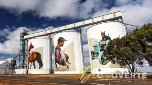 Silo Art Trail : Le road trip ultime à travers le plus grand musée à ciel ouvert d'Australie