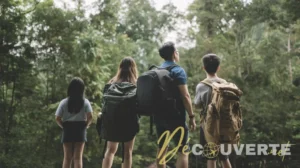 Qu'est-ce que le tourisme régénératif et pourquoi séduit-il les voyageurs ?