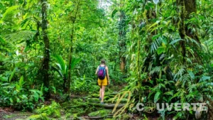 Bajos del Toro : Le paradis caché des cascades au Costa Rica