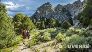 Parcs nationaux américains : l'alerte des rangers sur un danger souvent ignoré