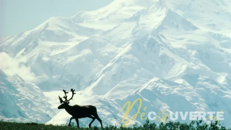 11 erreurs à éviter absolument lors d'un voyage en Alaska