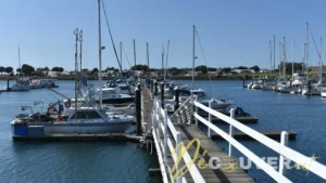 Road Trip dans l'Oregon : Une Étape Panoramique en Camping-Car sur la Côte