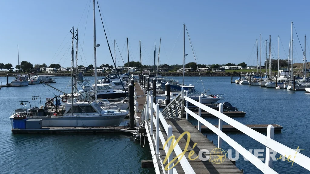Road Trip dans l'Oregon : Une Étape Panoramique en Camping-Car sur la Côte