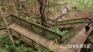 Explorer un gouffre géant au Devil's Millhopper en Floride