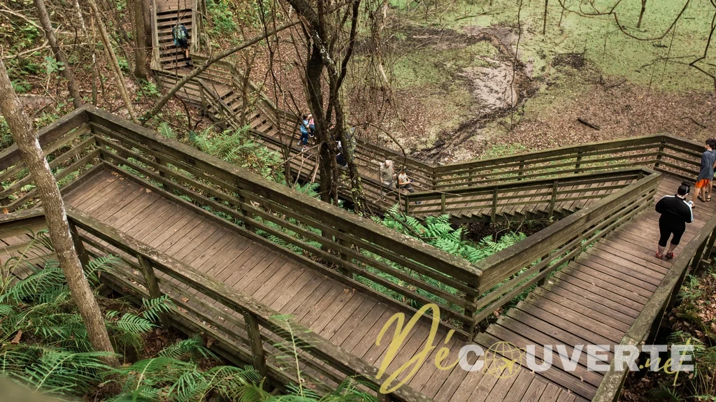 Explorer un gouffre géant au Devil's Millhopper en Floride