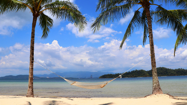 Deux palmiers avec un hamac sur la plage de l'île de Gaya