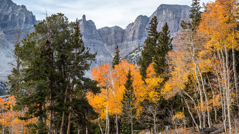 Great Basin National Park