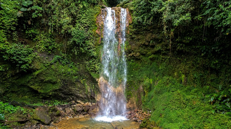 Cascade à Bajos del Toro