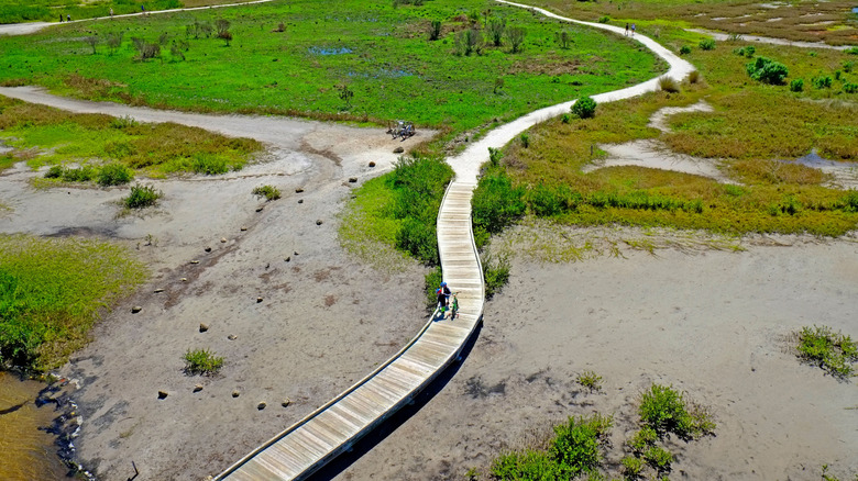 Walking Trail Boardwalk, Robinson Preserve, Bradenton, Florida