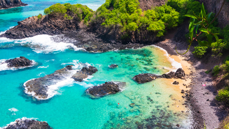 Baía dos Porcos, Brazil