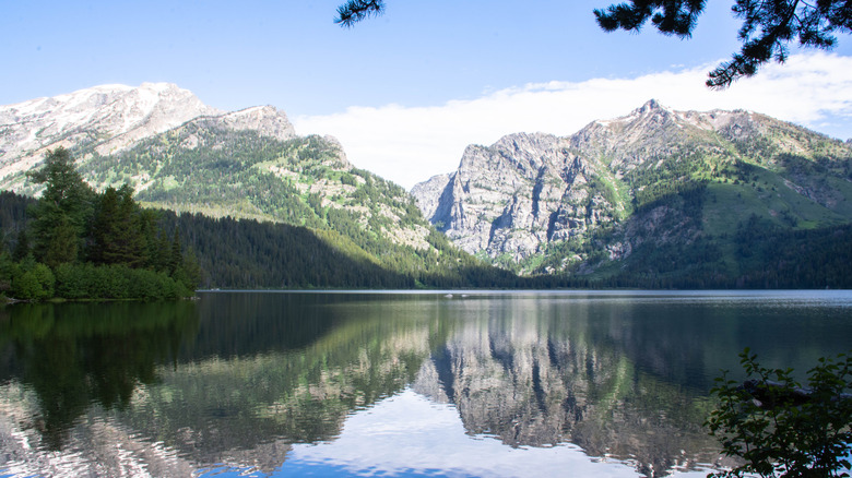 Reflet des montagnes Teton sur le lac Phelps