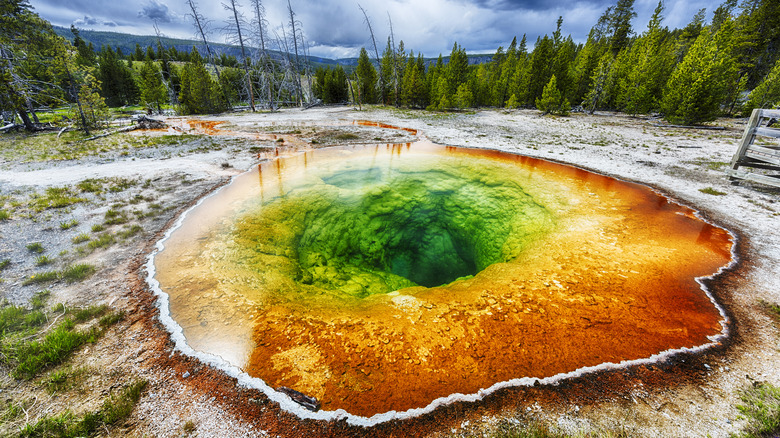 Morning Glory Pool au parc national de Yellowstone