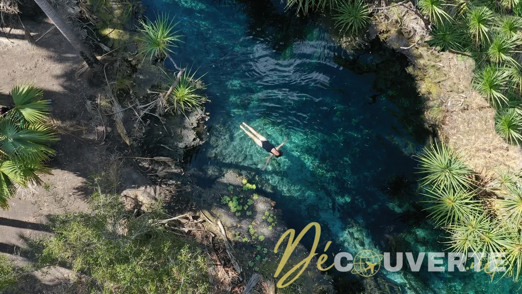 Parc National d'Elsey : Sources Chaudes et Baignade dans l'Outback Australien