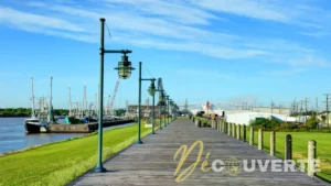 Port Arthur au Texas : une escapade hivernale douce et nature