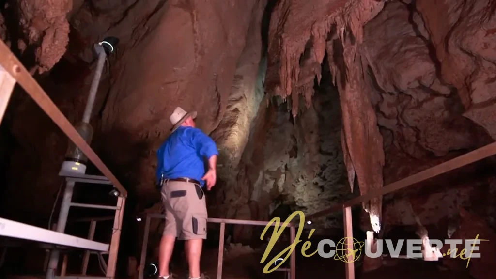 Pourquoi les pilotes ne mangent-ils jamais la même chose que les passagers ?