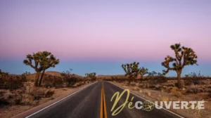 Road Trip sur la Highway 50 : La Route la Plus Solitaire d'Amérique au Nevada