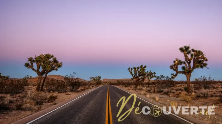 Road Trip sur la Highway 50 : La Route la Plus Solitaire d'Amérique au Nevada