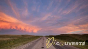 Le Road Trip "Road to Nowhere" : Traverser les États-Unis Hors des Sentiers Battus