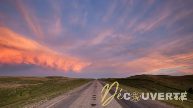 Le Road Trip "Road to Nowhere" : Traverser les États-Unis Hors des Sentiers Battus