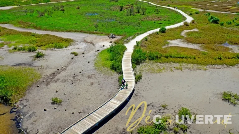 Robinson Preserve : le joyau secret de Floride pour des randonnées loin des foules
