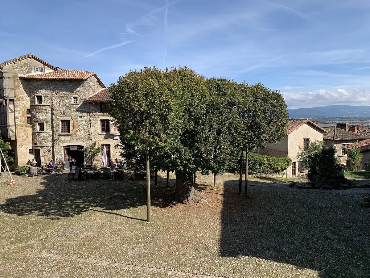 Le tilleul de la Liberté sur la place du Tilleul de Pérouges, devant les maisons anciennes.